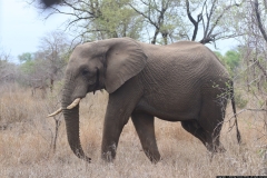 KNP_0407