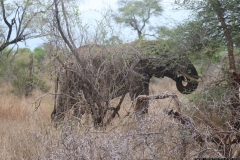 KNP_0409