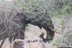 KNP_0410