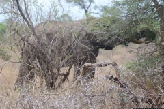 KNP_0412