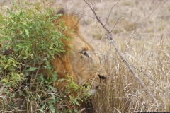 KNP_0421