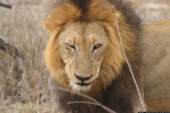 KNP_0422