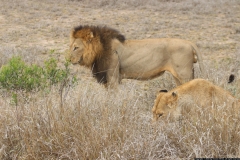 KNP_0426