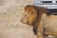 KNP_0432