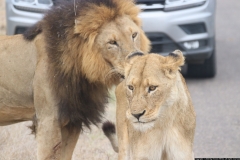 KNP_0434