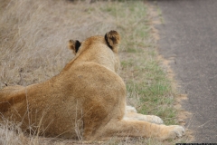 KNP_0438