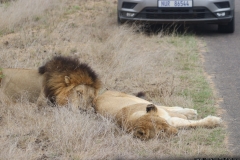 KNP_0440