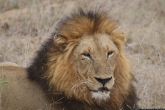 KNP_0450