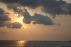 BNL_0064