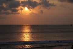 BNL_0081