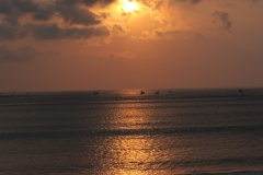 BNL_0082