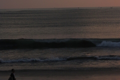 BNL_0086