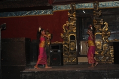 BNL_0102