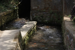 BNL_0166