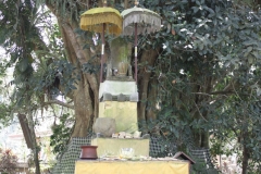 BNL_0168