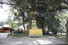 BNL_0169