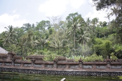 BNL_0183