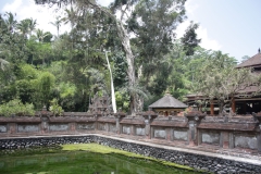 BNL_0184