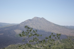BNL_0196