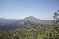 BNL_0197