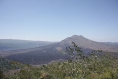 BNL_0198