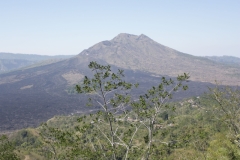 BNL_0199