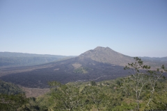 BNL_0203