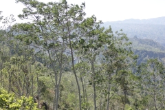 BNL_0205