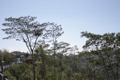 BNL_0207