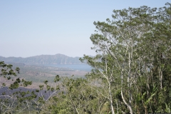 BNL_0208