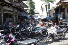 BNL_0246