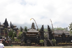 BNL_0264