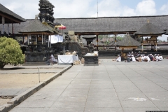 BNL_0273