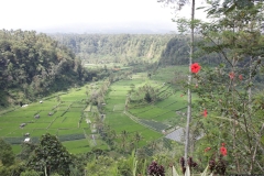 BNL_0286