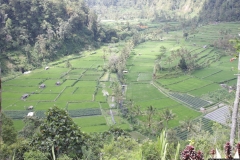 BNL_0287