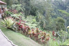 BNL_0288