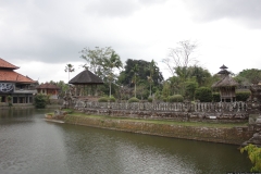 BNL_0294