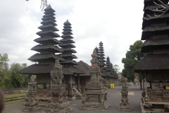 BNL_0302