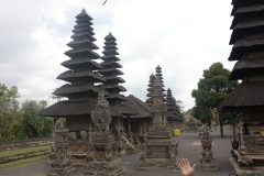 BNL_0303