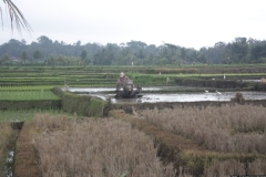 BNL_0306