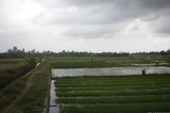 BNL_0310