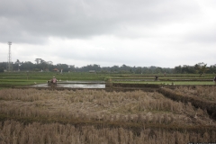 BNL_0315