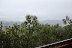 IMG_3512_ergebnis