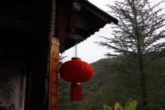 IMG_3517_ergebnis