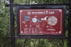 IMG_3538_ergebnis