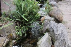 IMG_3543_ergebnis