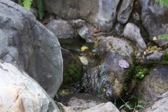IMG_3549_ergebnis