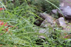 IMG_3551_ergebnis