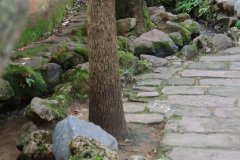 IMG_3559_ergebnis