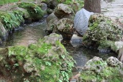 IMG_3560_ergebnis